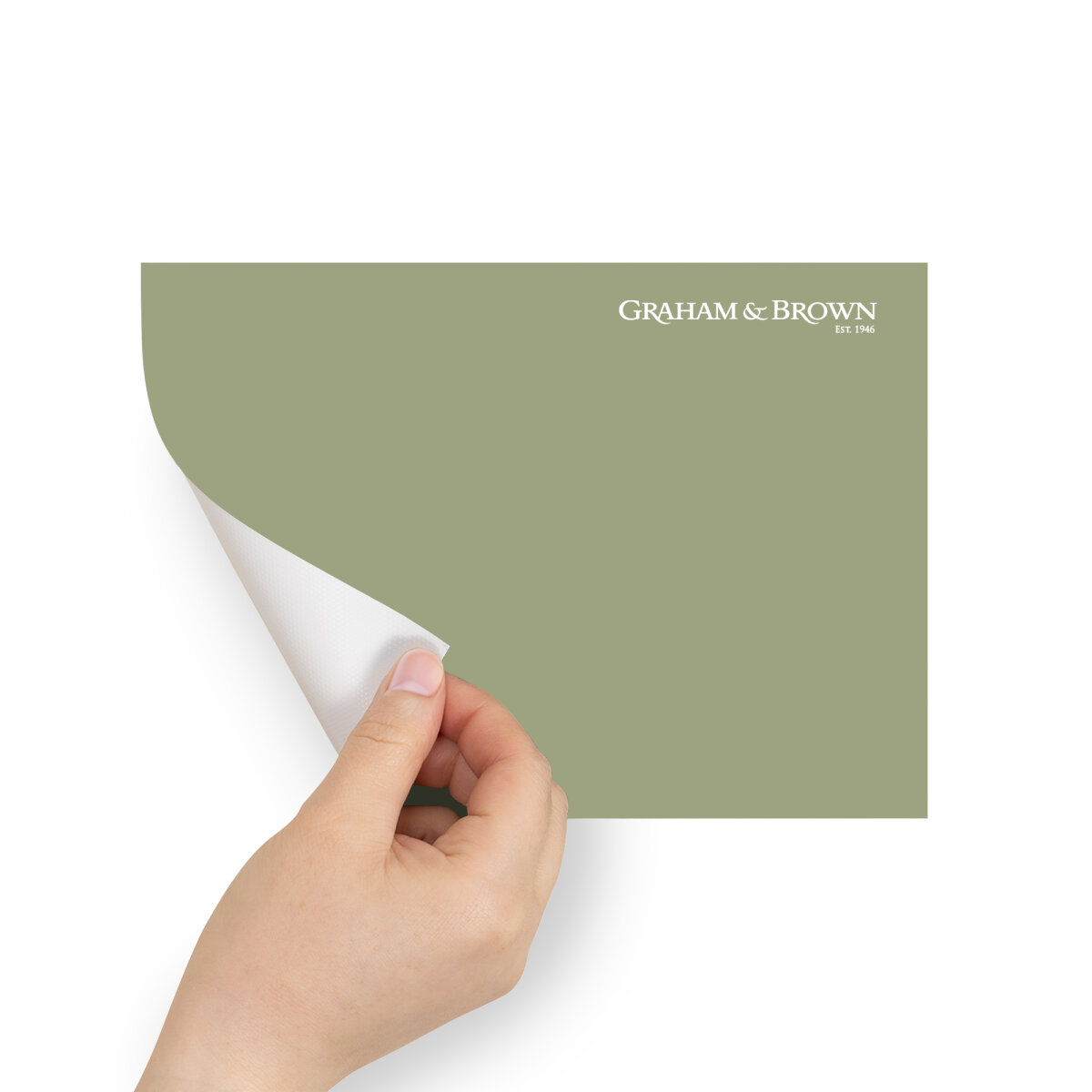 Graham & Brown Peel & Stick Sample Panache (AV062382330)