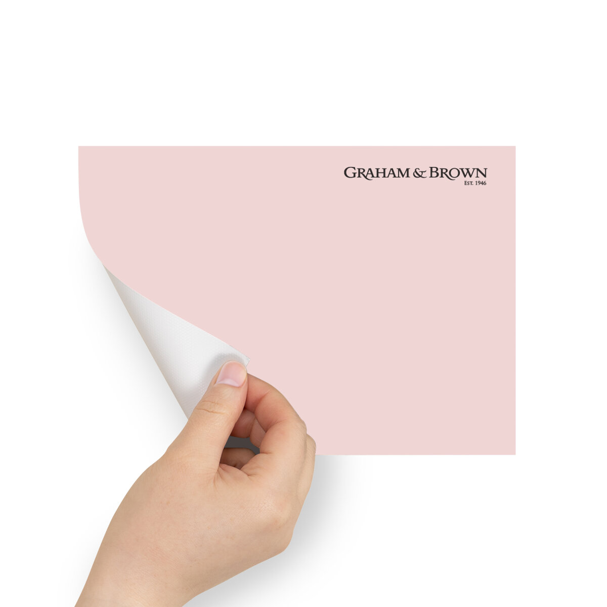 Graham & Brown Peel & Stick Sample Penelope (AV062382340)