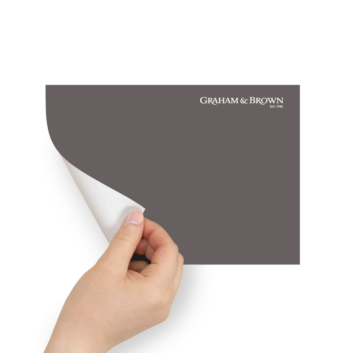 Graham & Brown Peel & Stick Sample Pisa (AV062382375)