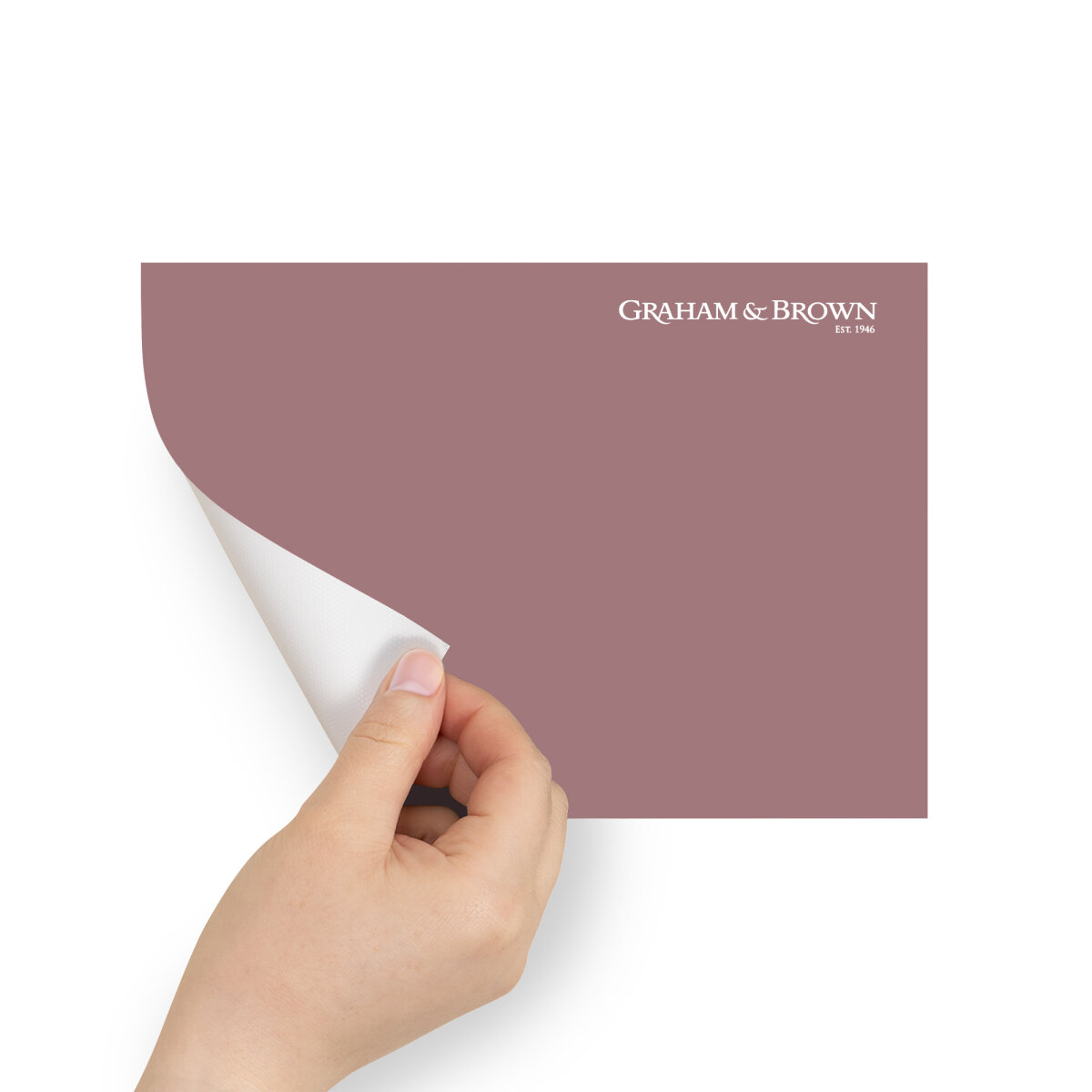 Graham & Brown Peel & Stick Sample Prima Donna (AV062382430)