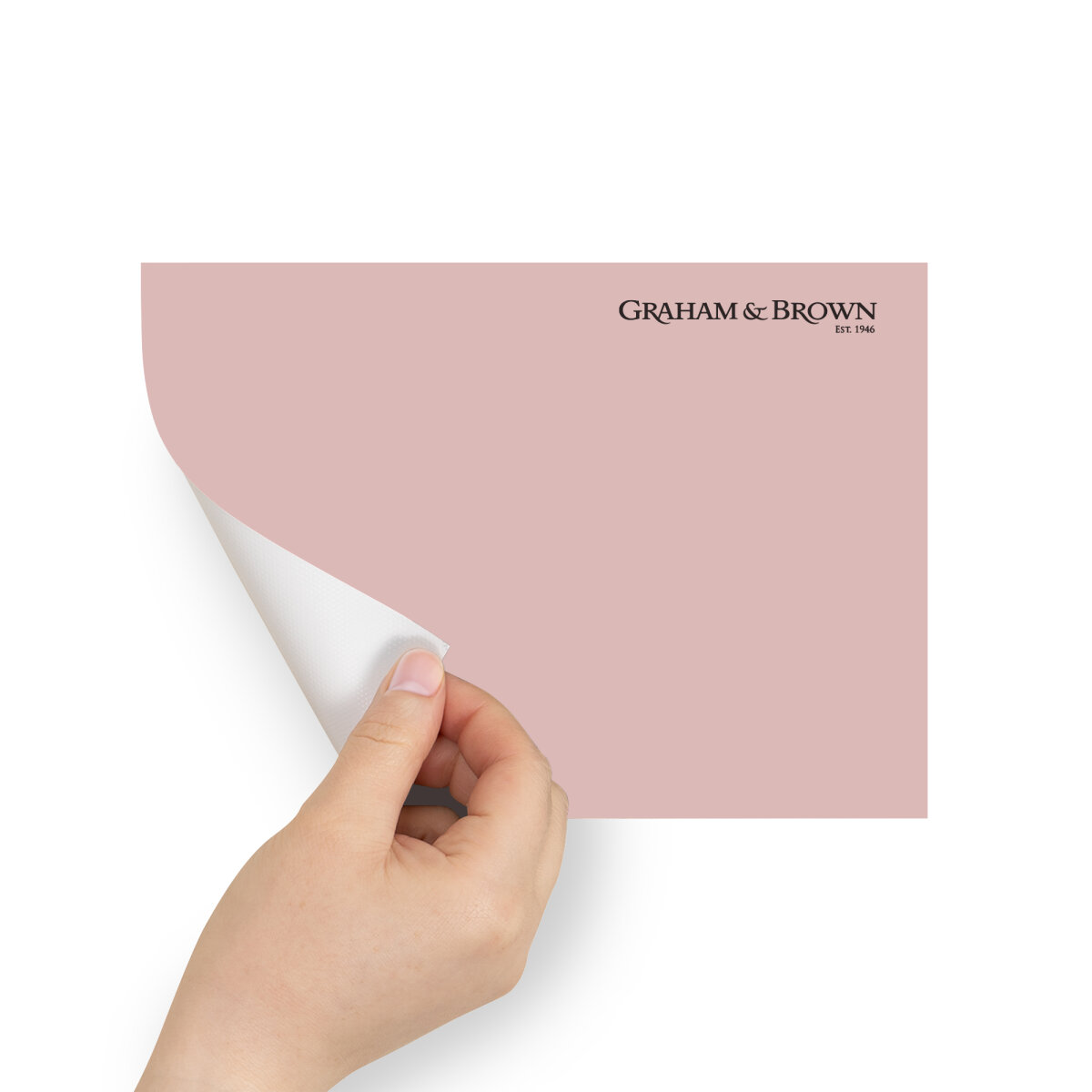 Graham & Brown Peel & Stick Sample Rose Angel (AV062382495)