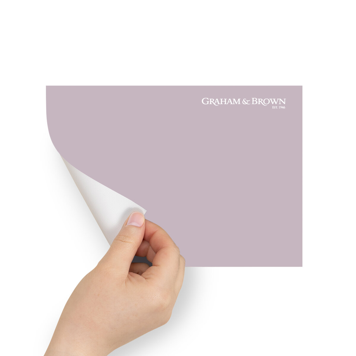 Graham & Brown Peel & Stick Sample Second Skin (AV062382580)