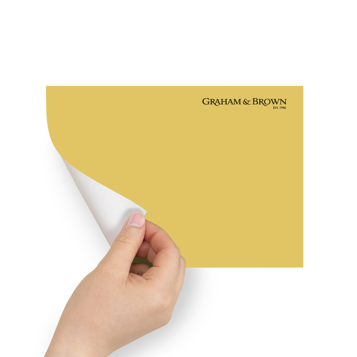 Graham & Brown Peel & Stick Sample Sunflower (AV062382740)
