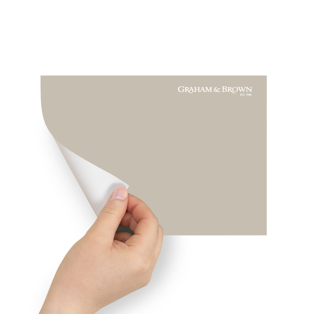 Graham & Brown Peel & Stick Sample Taupe (AV062382775)