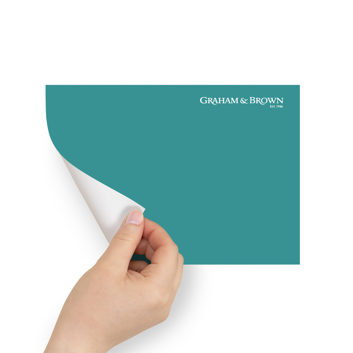 Graham & Brown Peel & Stick Sample Teal (AV062382785)