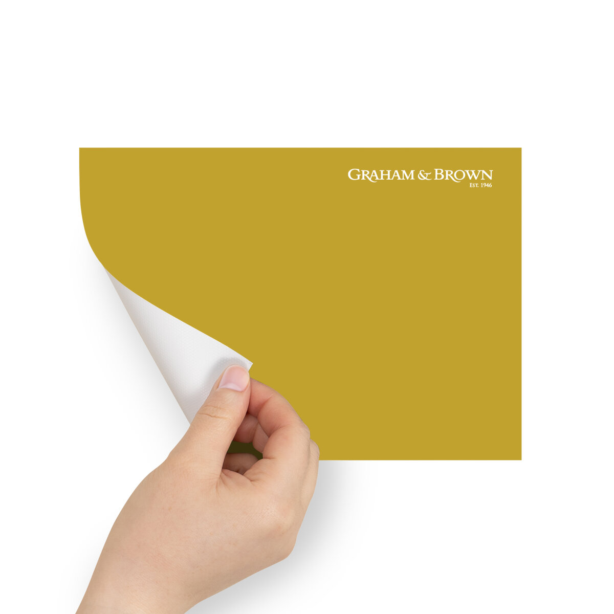 Graham & Brown Peel & Stick Sample Toucan (AV062382850)