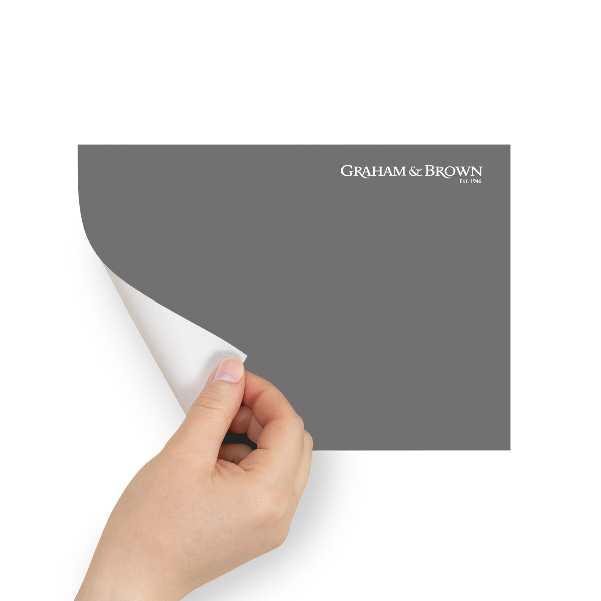 Graham & Brown Peel & Stick Sample Vector (AV062382905)