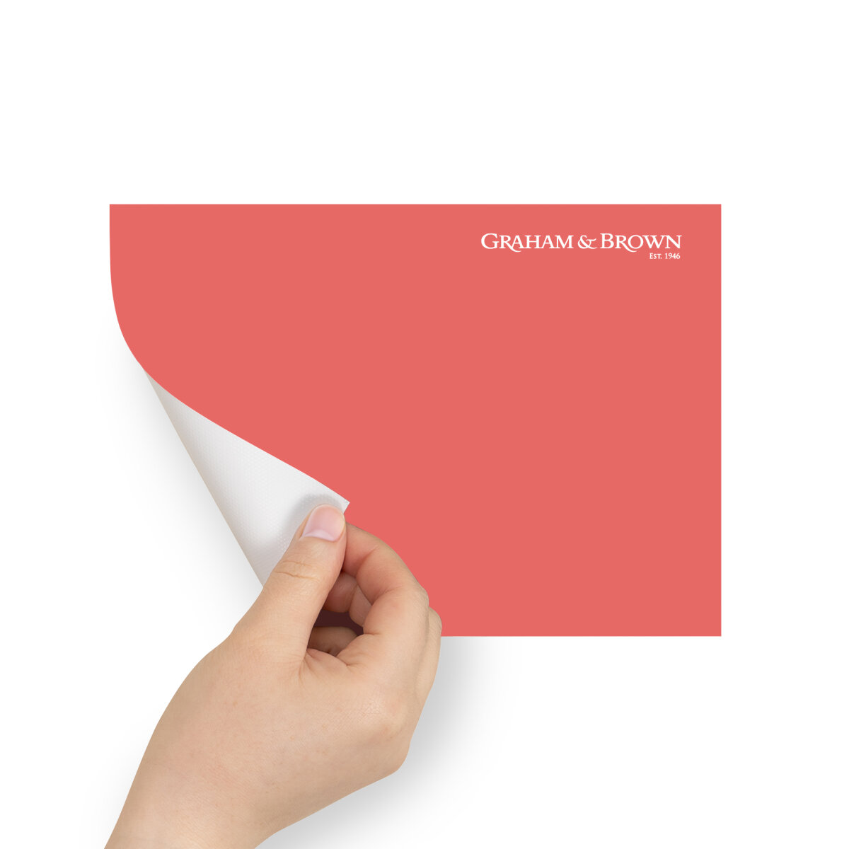 Graham & Brown Peel & Stick Sample Watermelon (AV062382980)