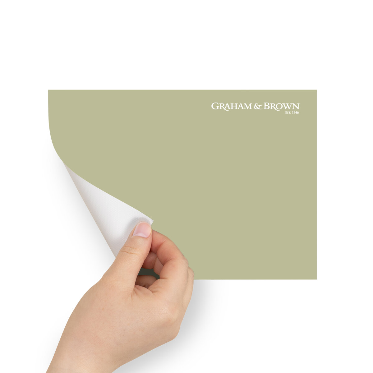 Graham & Brown Peel & Stick Sample Viridis (AV062383040)