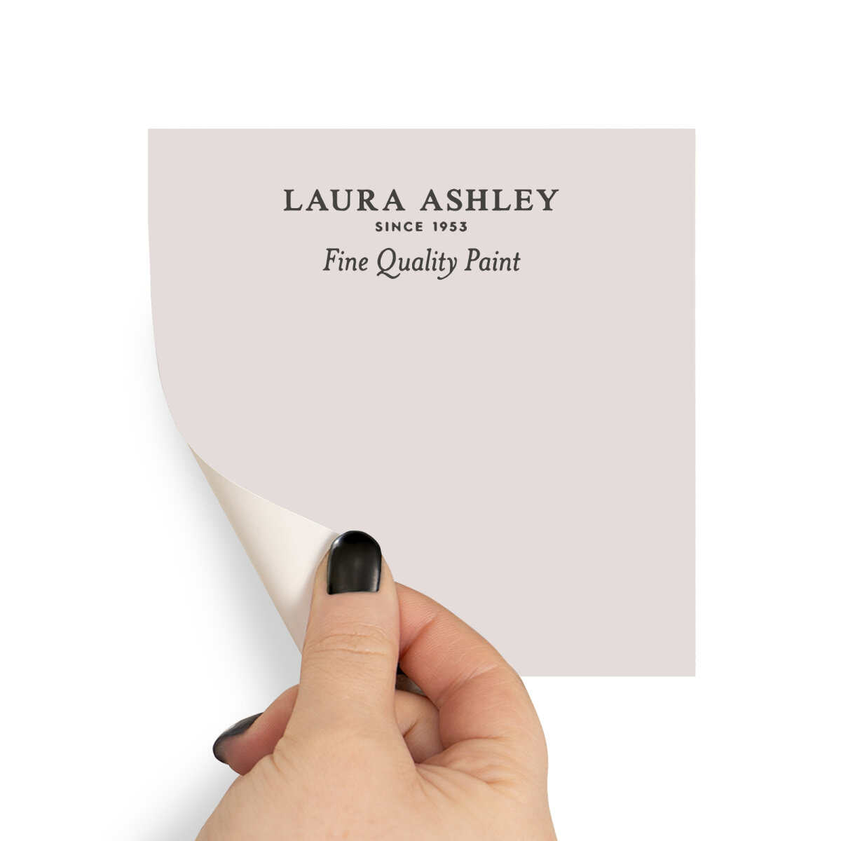 Laura Ashley Peel & Stick Sample Amethyst White (AV077041310)