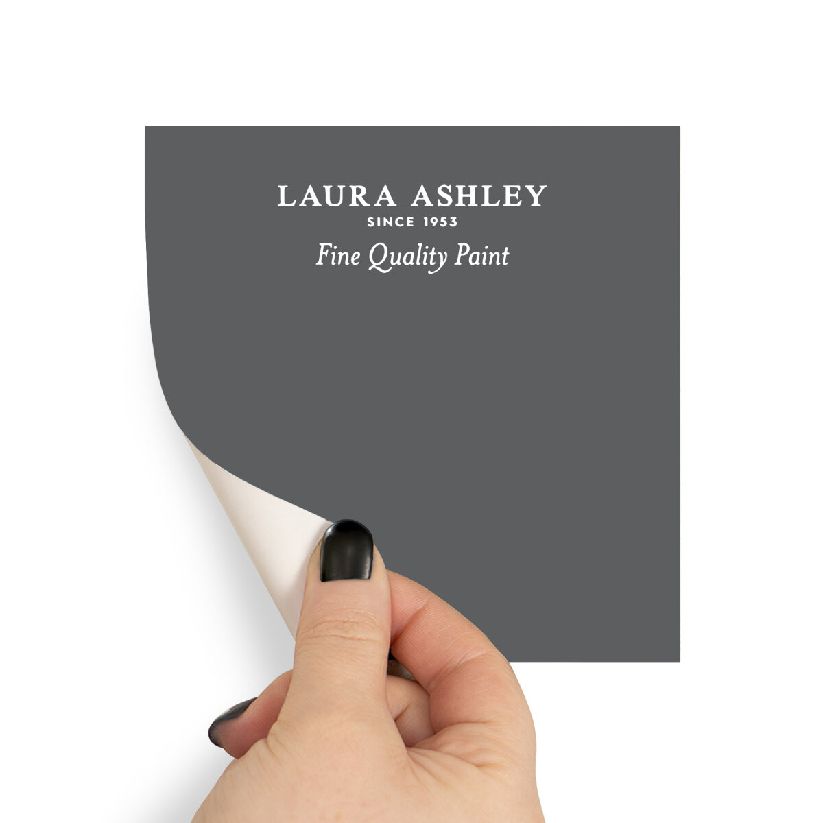 Laura Ashley Peel & Stick Sample Charcoal (AV077041205)