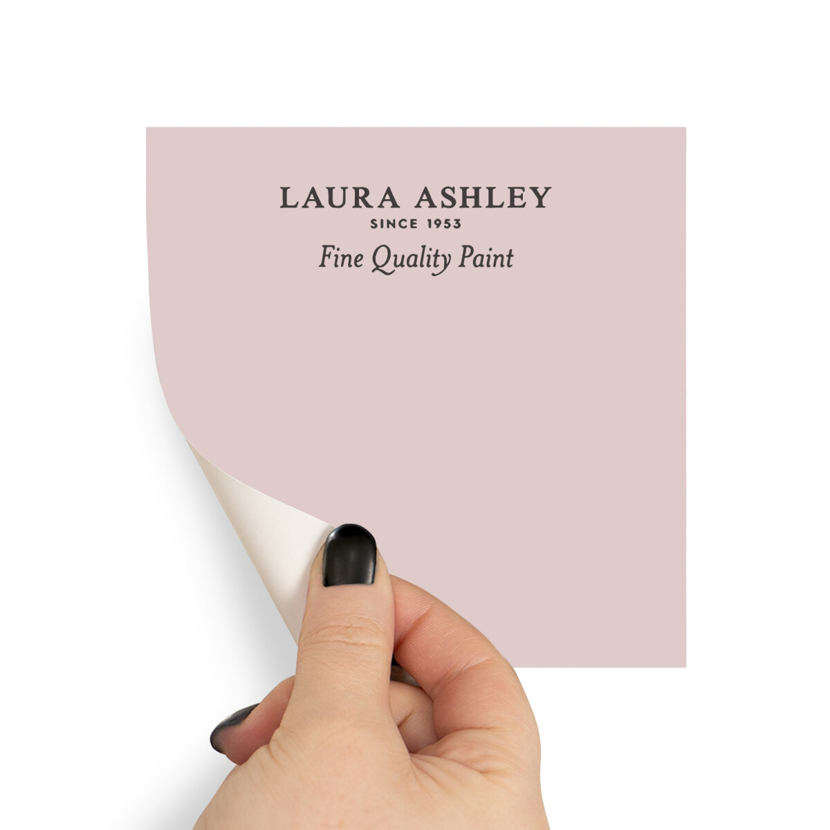 Laura Ashley Peel & Stick Sample Blush (AV077041330)