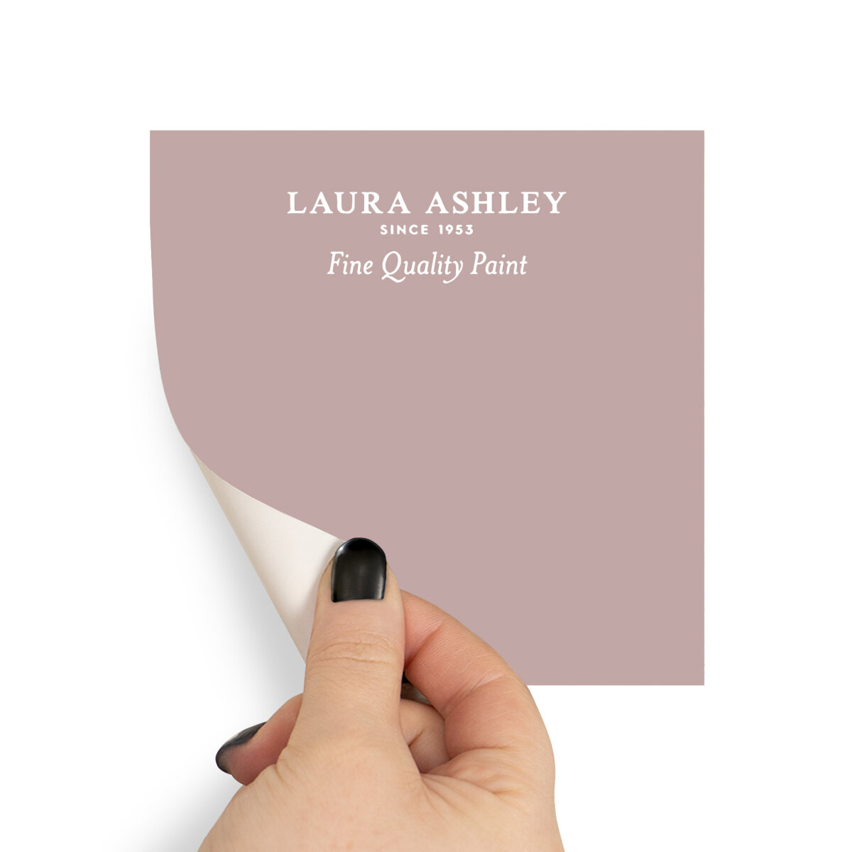 Laura Ashley Peel & Stick Sample Dark Blush (AV077041335)