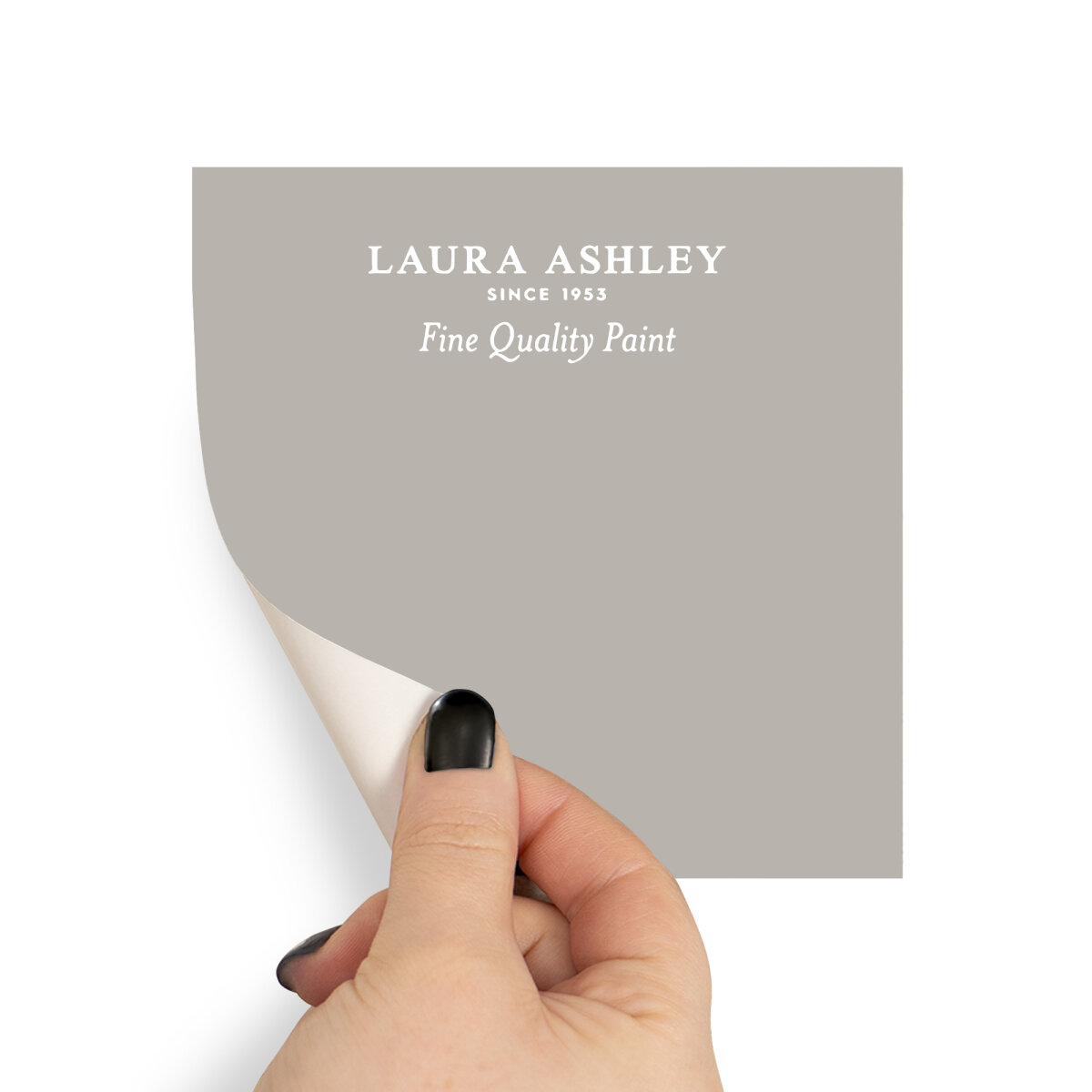 Laura Ashley Peel & Stick Sample Dark Dove Grey (AV077041120)