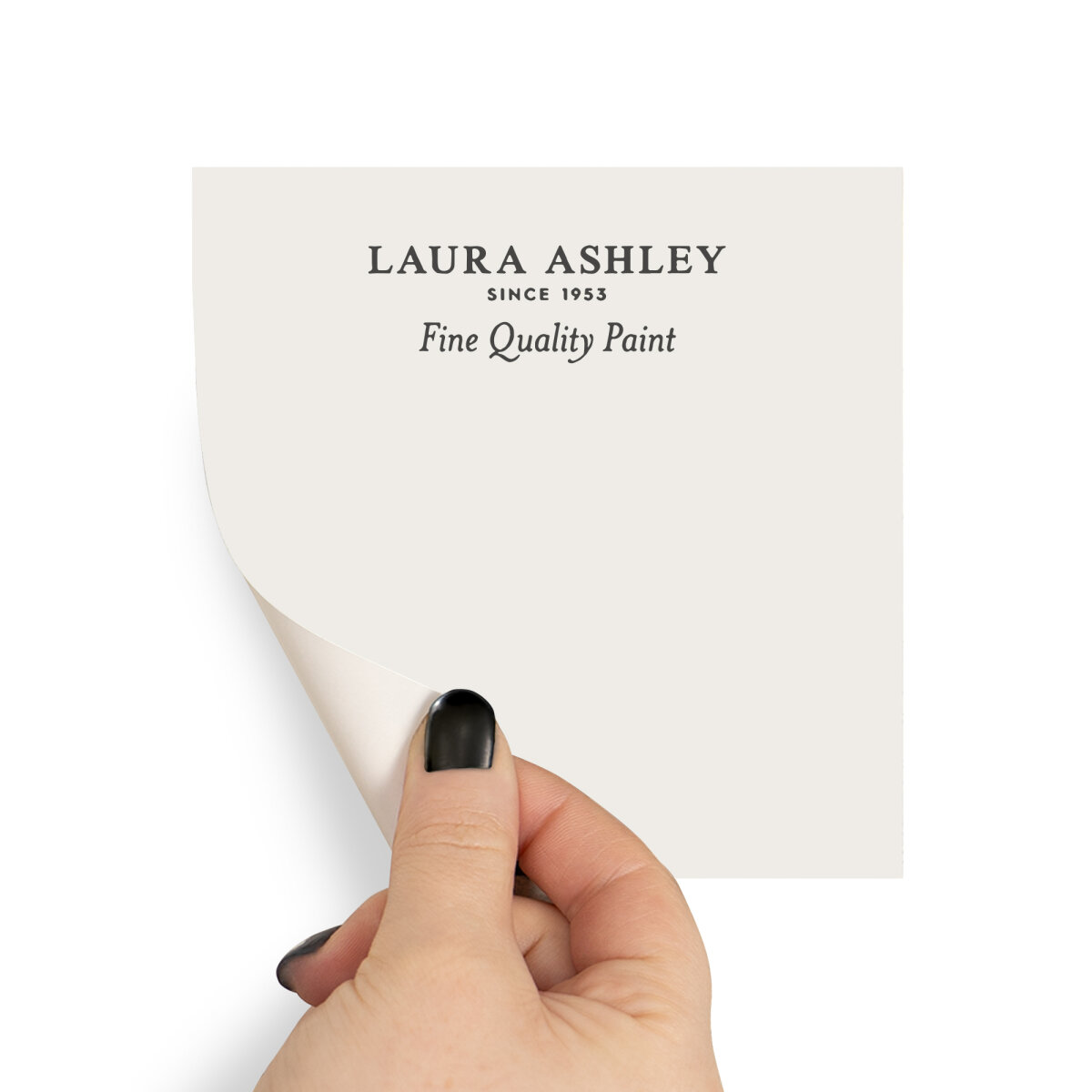 Laura Ashley Peel & Stick Sample Dove Grey White (AV077041105)