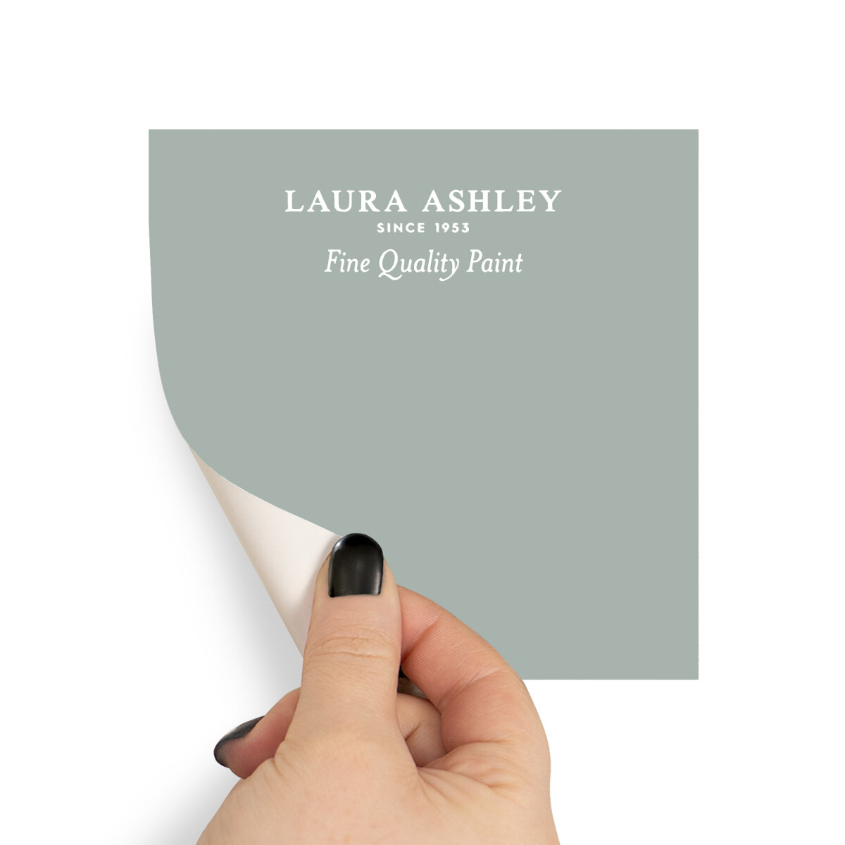 Laura Ashley Peel & Stick Sample Grey Green (AV077041255)