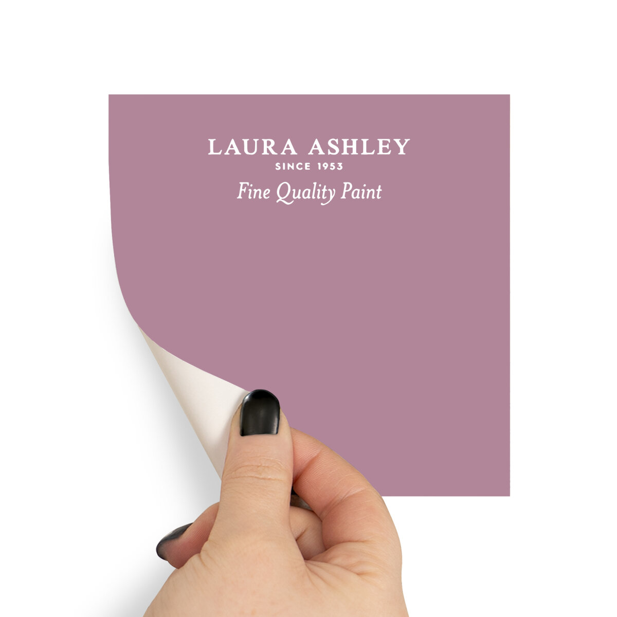 Laura Ashley Peel & Stick Sample Mulberry (AV077041355)