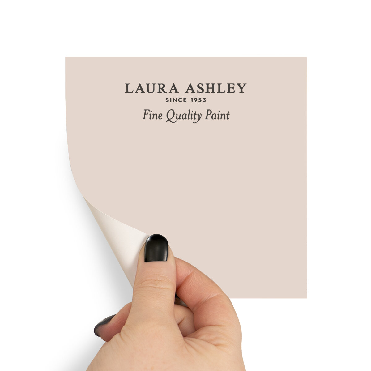 Laura Ashley Peel & Stick Sample Pale Chalk Pink (AV077041320)