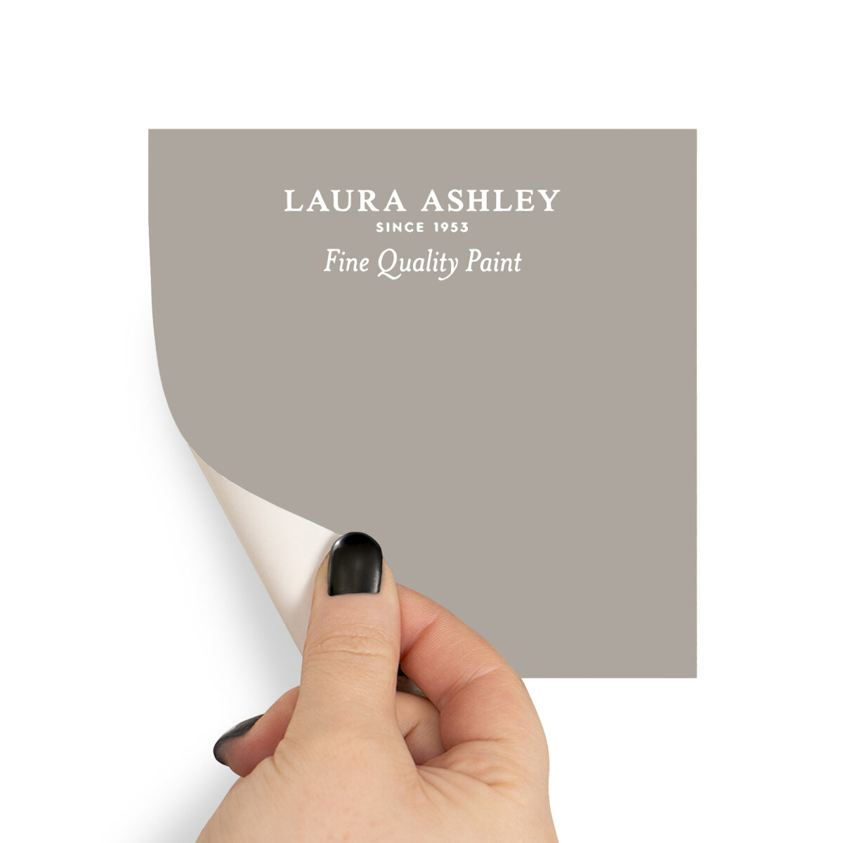 Laura Ashley Peel & Stick Sample Pale French Grey (AV077041125)