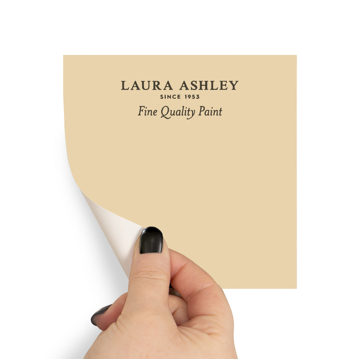 Laura Ashley Peel & Stick Sample Pale Gold (AV077041055)