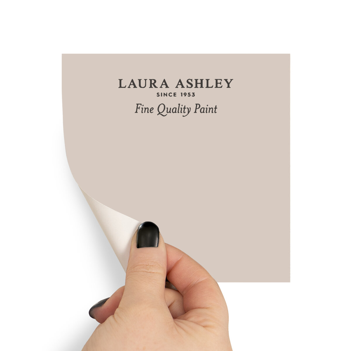 Laura Ashley Peel & Stick Sample Plaster Pink (AV077041380)