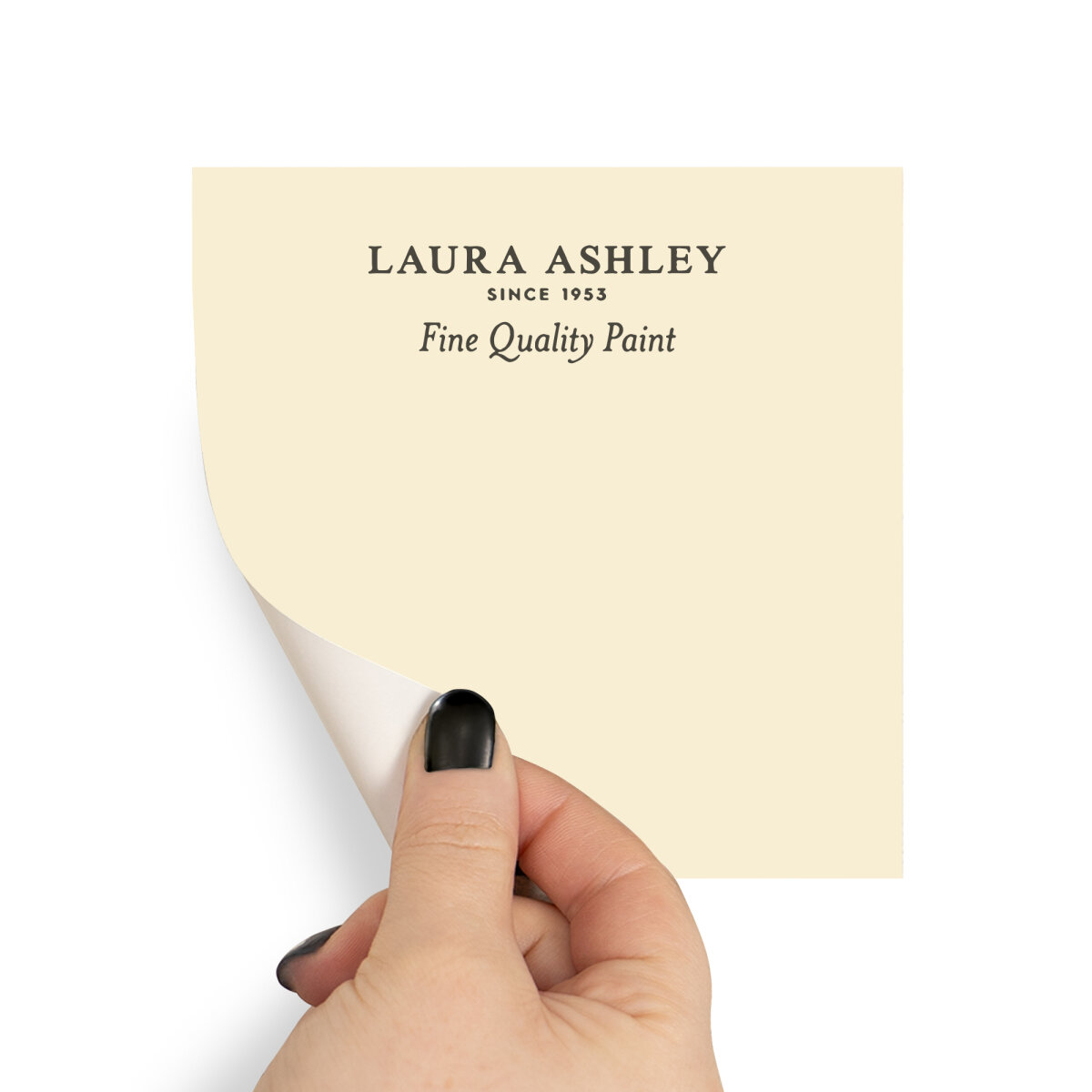 Laura Ashley Peel & Stick Sample Primrose White (AV077041040)