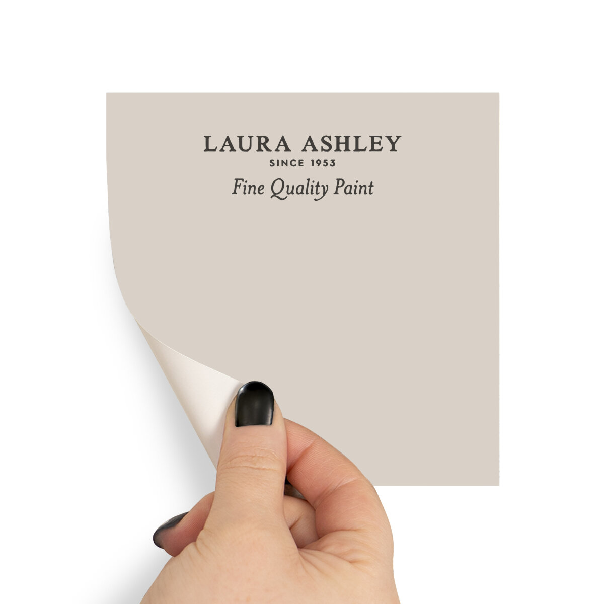 Laura Ashley Peel & Stick Sample Sable (AV077041100)