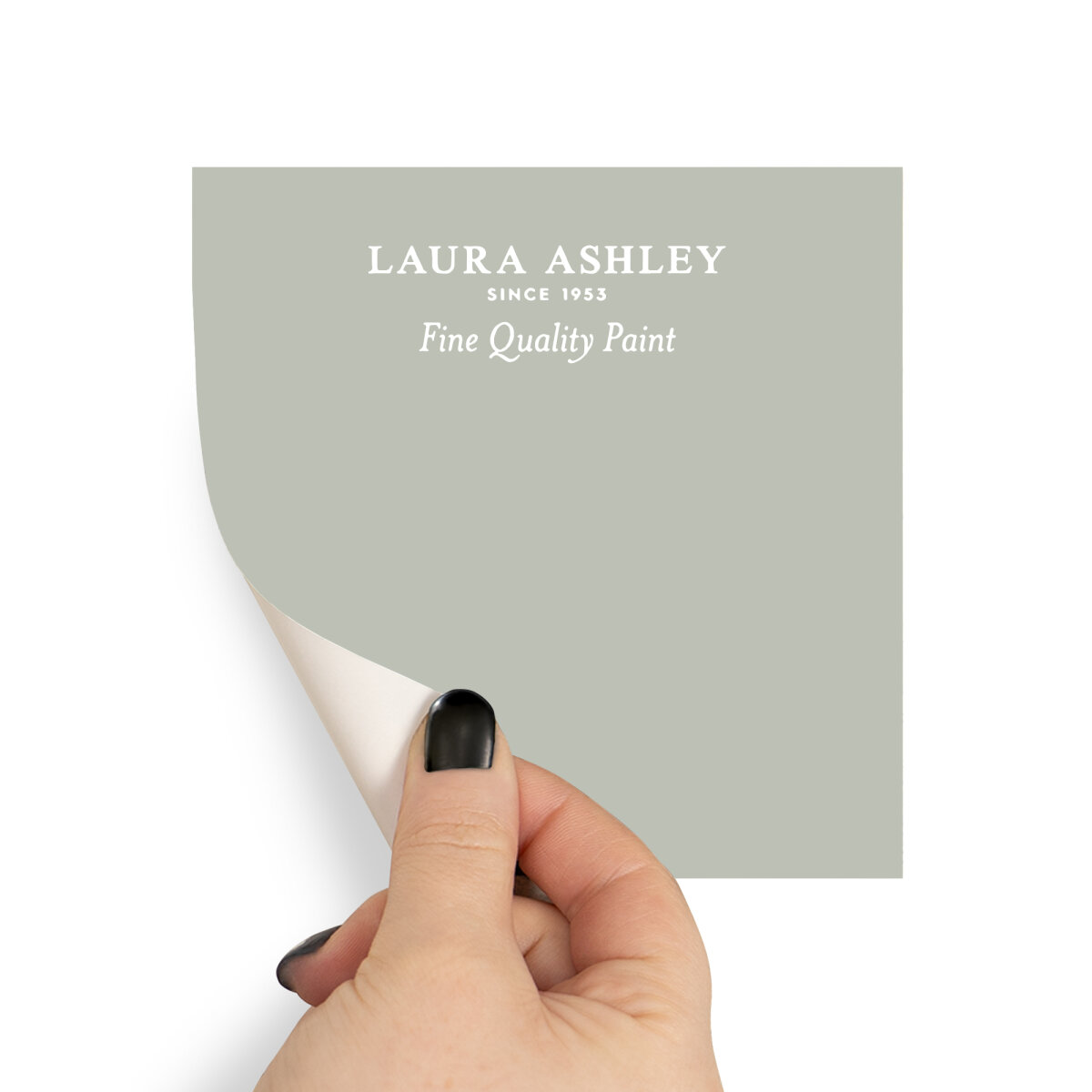 Laura Ashley Peel & Stick Sample Sage Leaf (AV077041215)