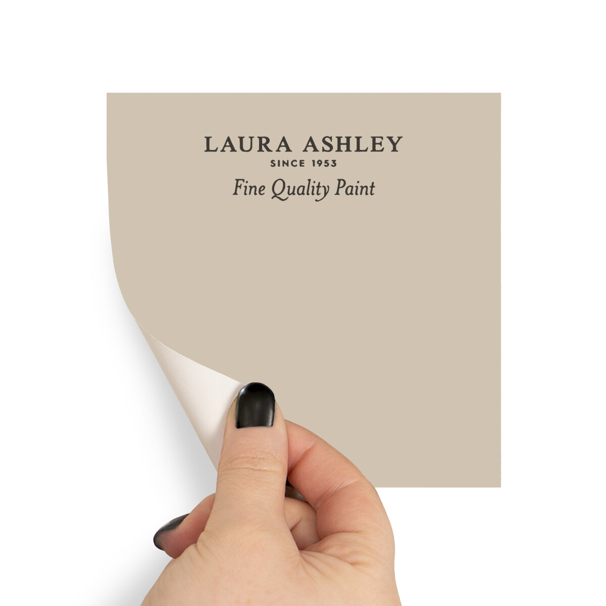 Laura Ashley Peel & Stick Sample Soft Truffle (AV077041085)