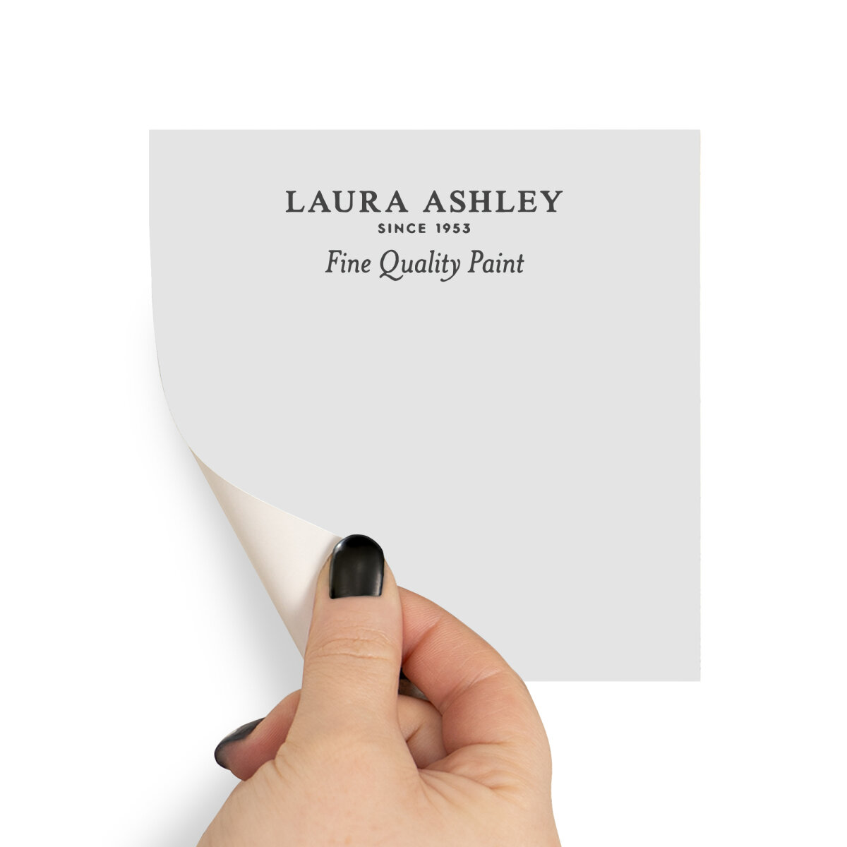 Laura Ashley Peel & Stick Sample Sugared Grey White (AV077041170)