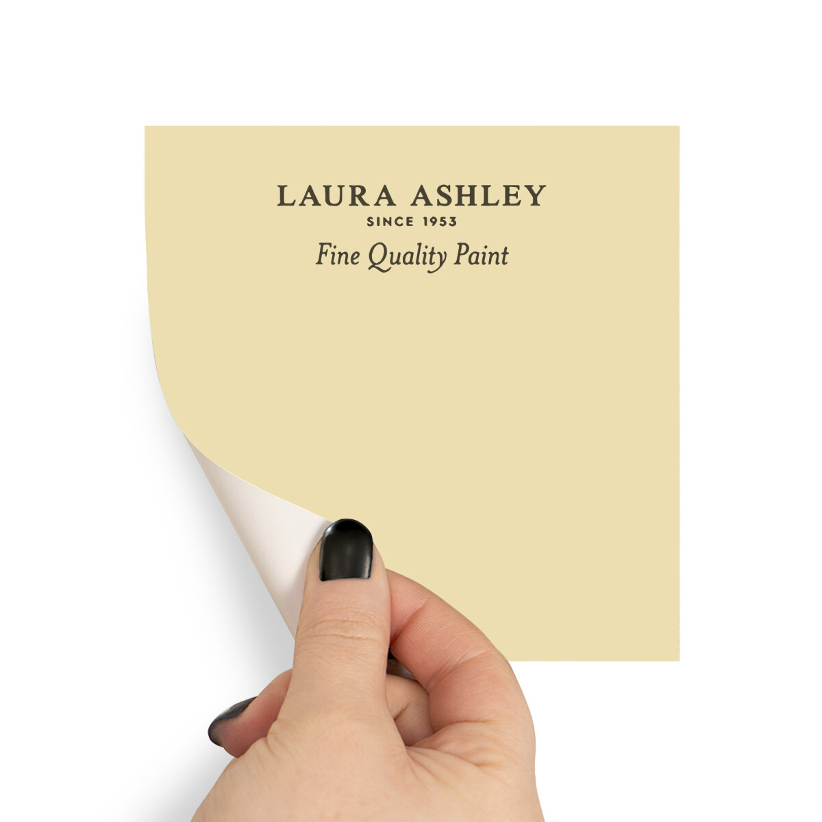 Laura Ashley Peel & Stick Sample Sunshine (AV077041050)