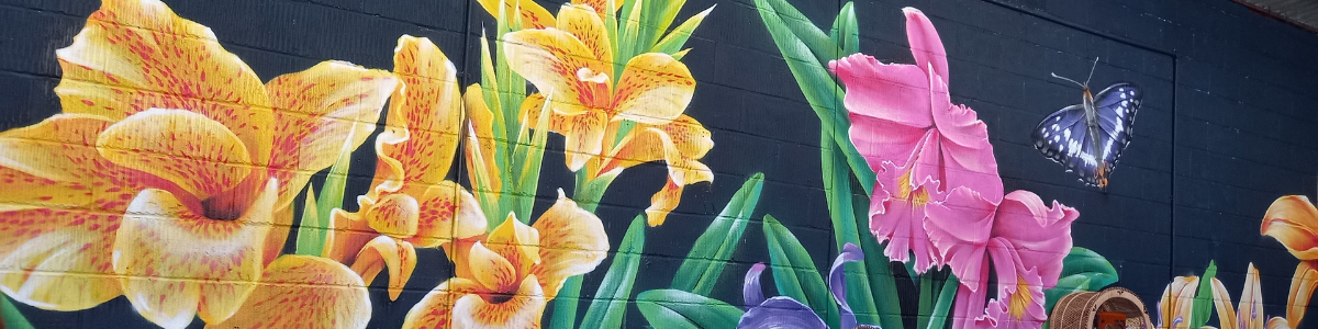 Beautiful New Murals In East Sussex With Albany Paint!