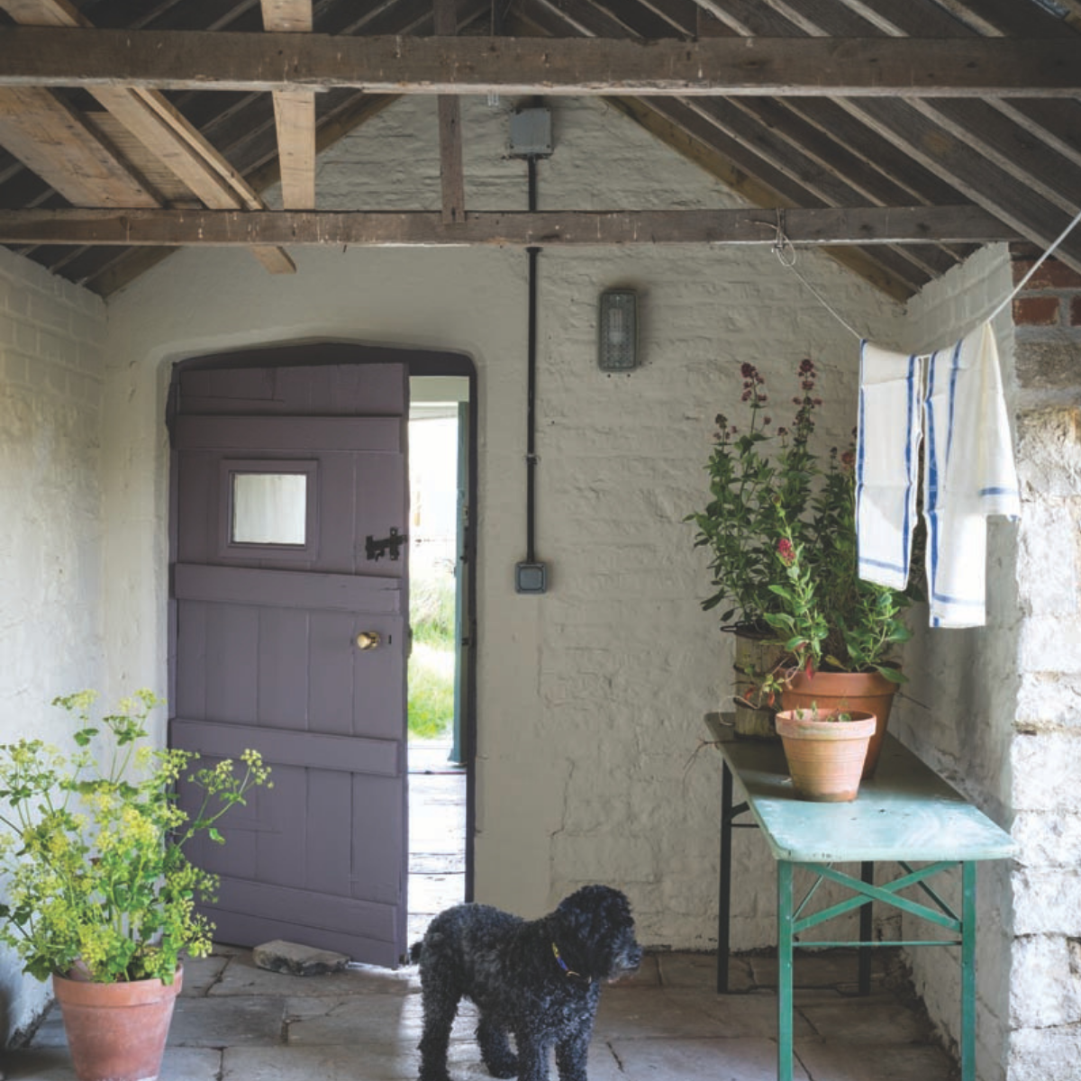 Farrow & Ball, Joa's White 226