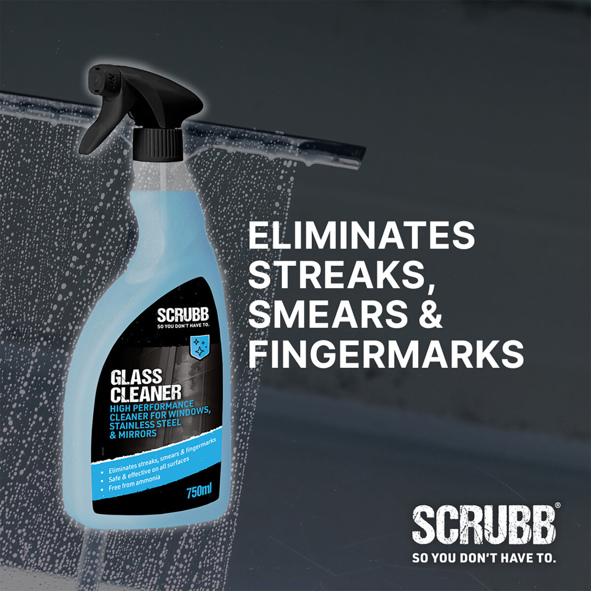 Glass Cleaner Trigger Spray 750ml (NT015540)