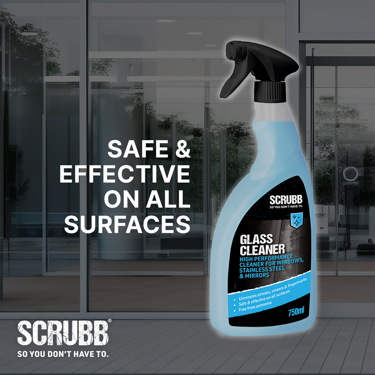 Glass Cleaner Trigger Spray 750ml (NT015540)