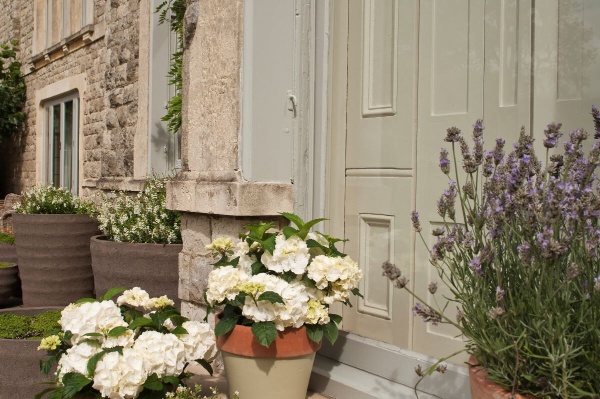Farrow & Ball