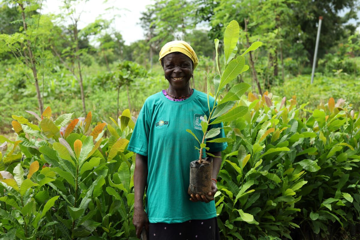 Supporting Tree Aid This Earth Month