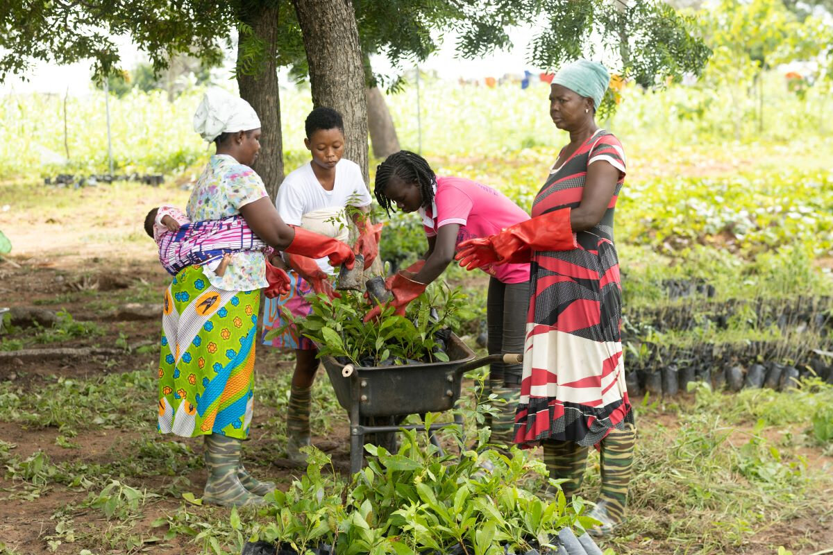Supporting Tree Aid This Earth Month