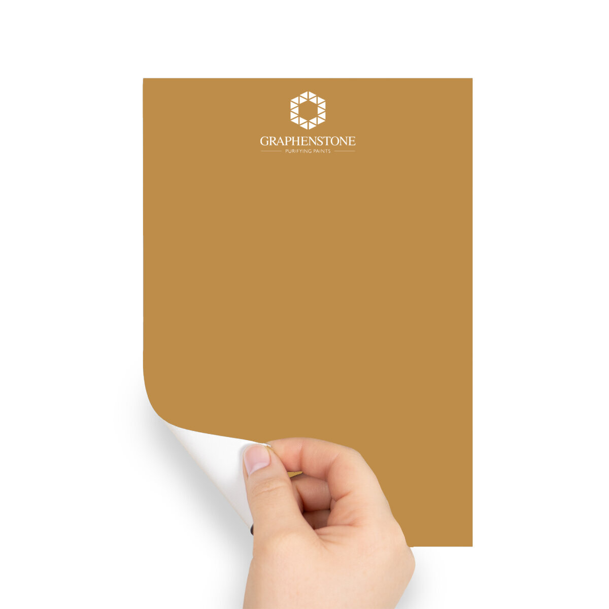 Graphenstone Grafclean Peel & Stick Swatch Golden Pheasant (BN18111665)