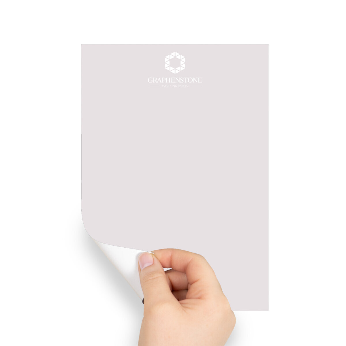 Graphenstone Grafclean Peel & Stick Swatch Pintail (BN18111795)