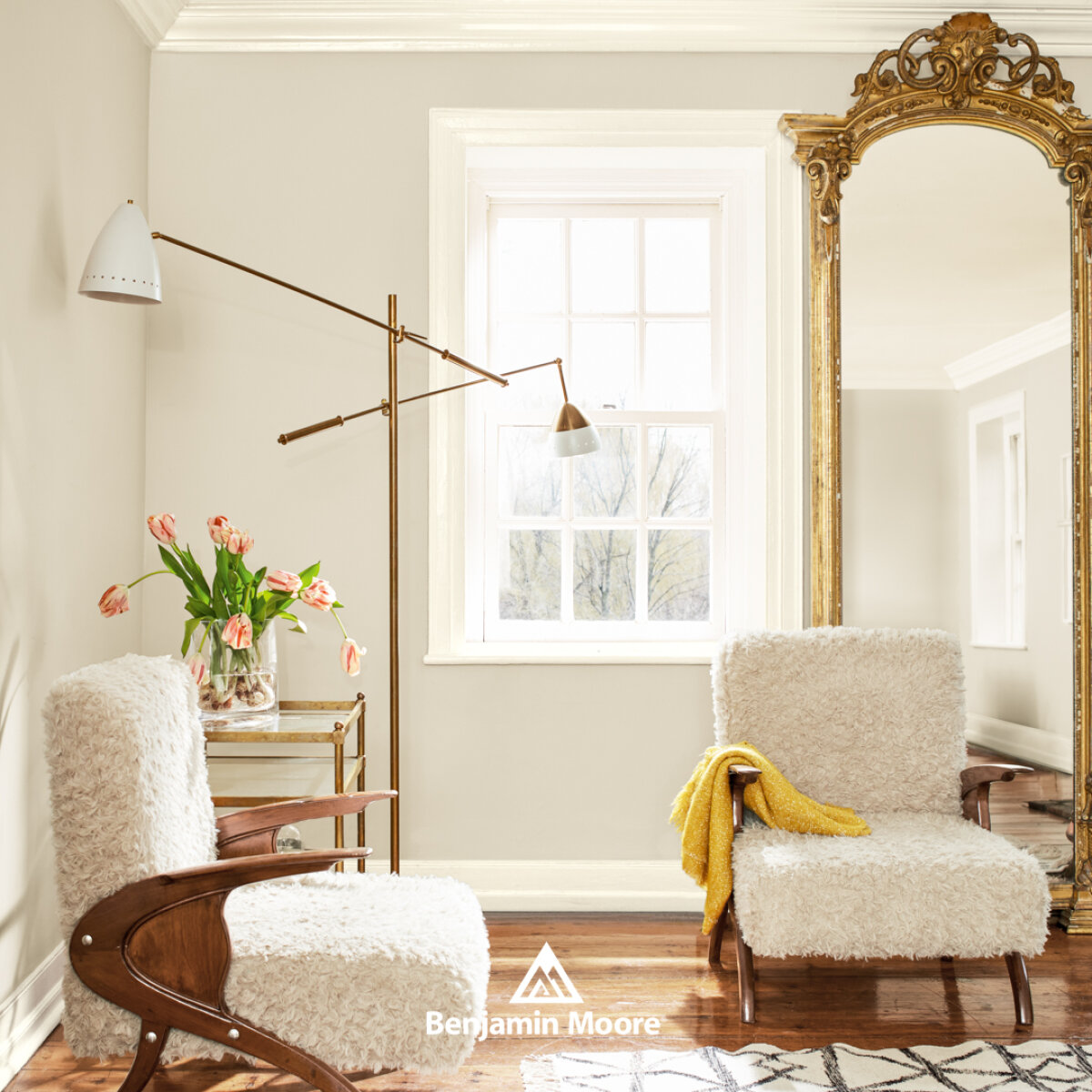 6 Colours Perfect for Your Lounge