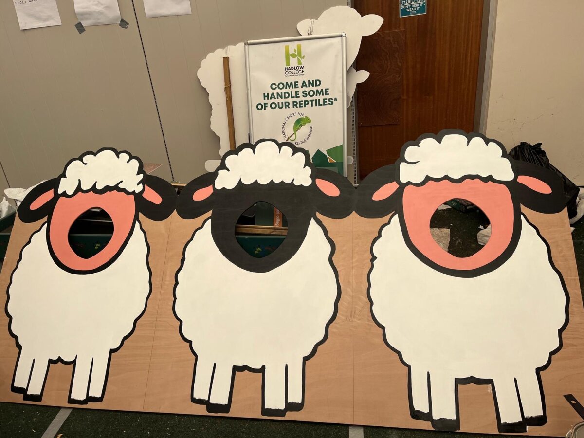 Donating Albany Woodcare To College For A Bleating Good Weekend!