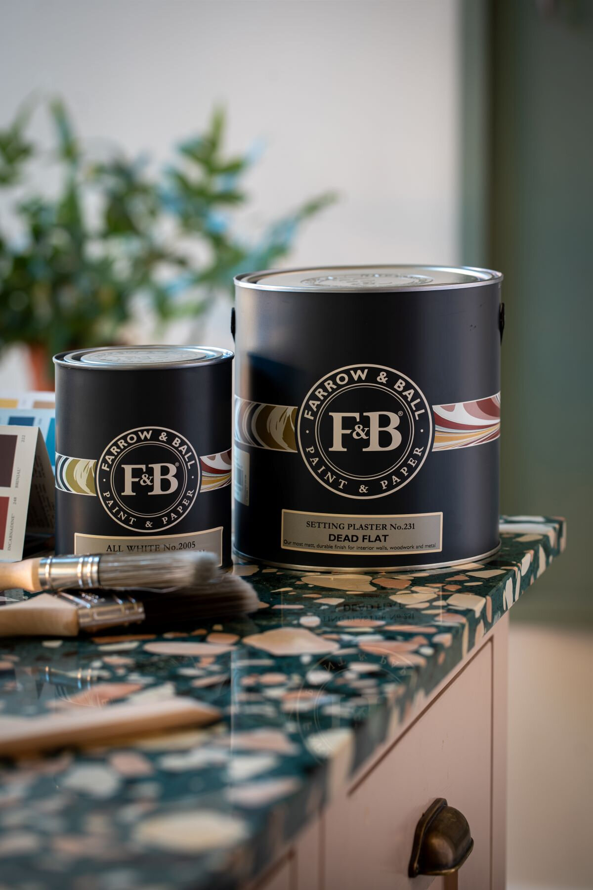 A Deep Dive into Farrow & Ball Dead Flat