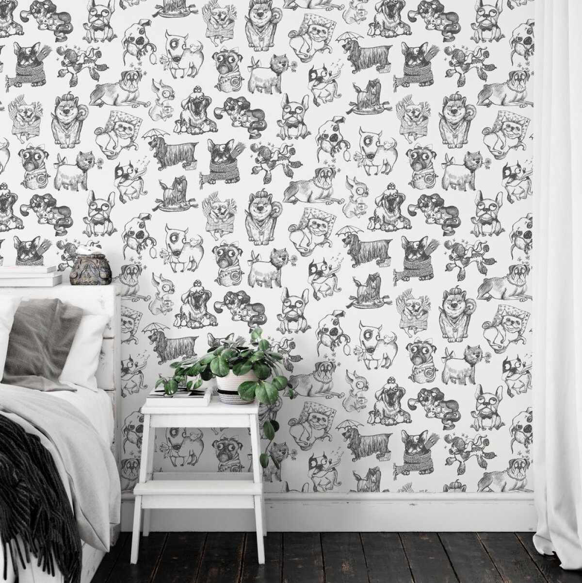 Top 10 Kids’ Wallpapers From Albany