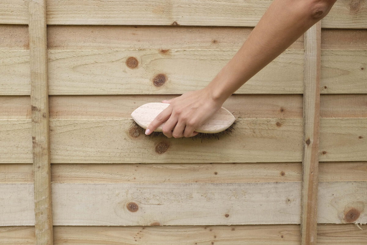 Fence Paint: How To Instantly Transform Your Garden!