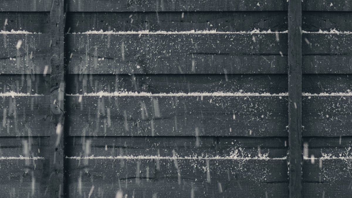 Fence Paint: How To Instantly Transform Your Garden!