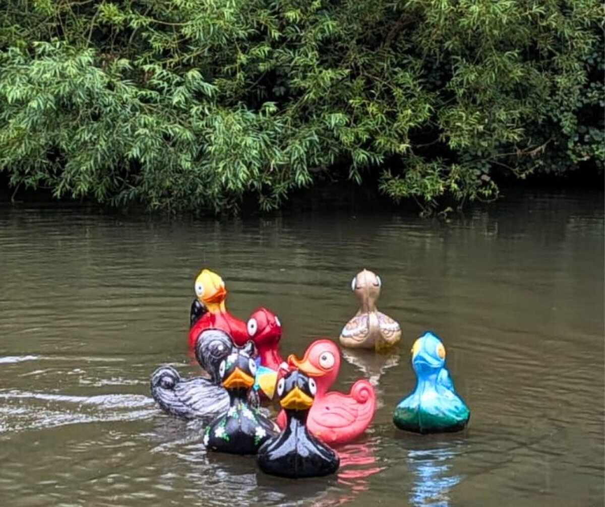 Surrey Care Trust Makes a Splash with Successful Annual Duck Dash!