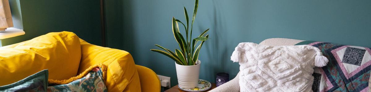 How Light Affects Paint Colours