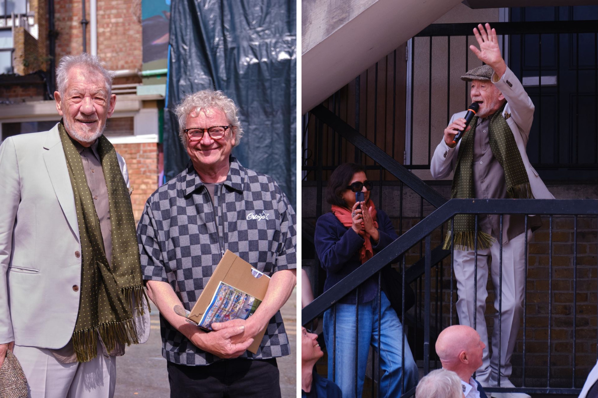 Sharing Colourful Community Stories With The Vibrancy Of Albany