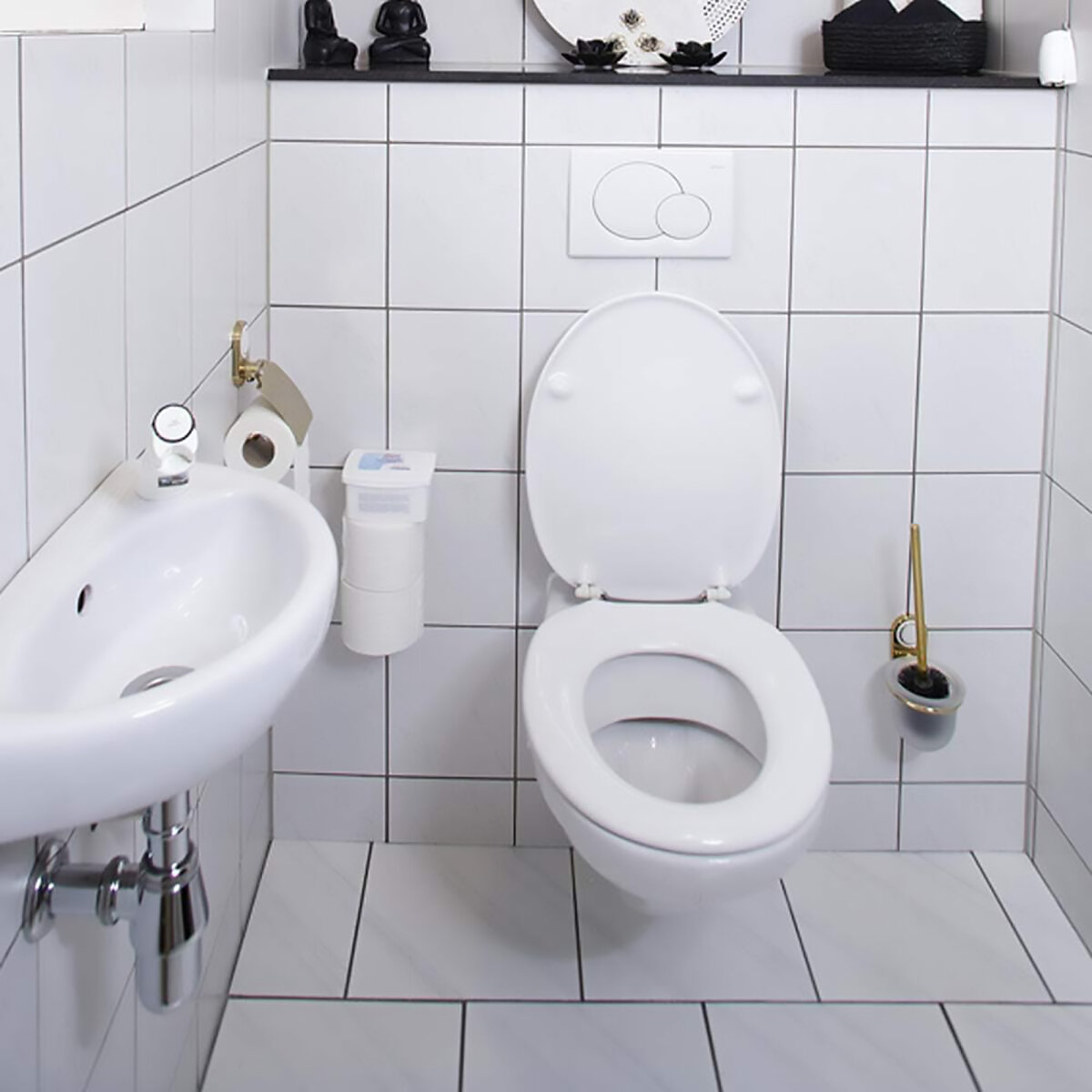 Sanitary Area Cleaner 500ML (NT01513705)